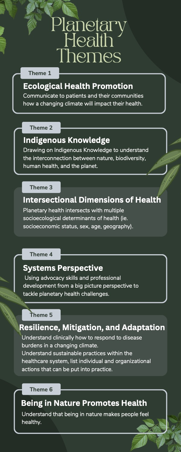 Infographic of 6 planetary health themes