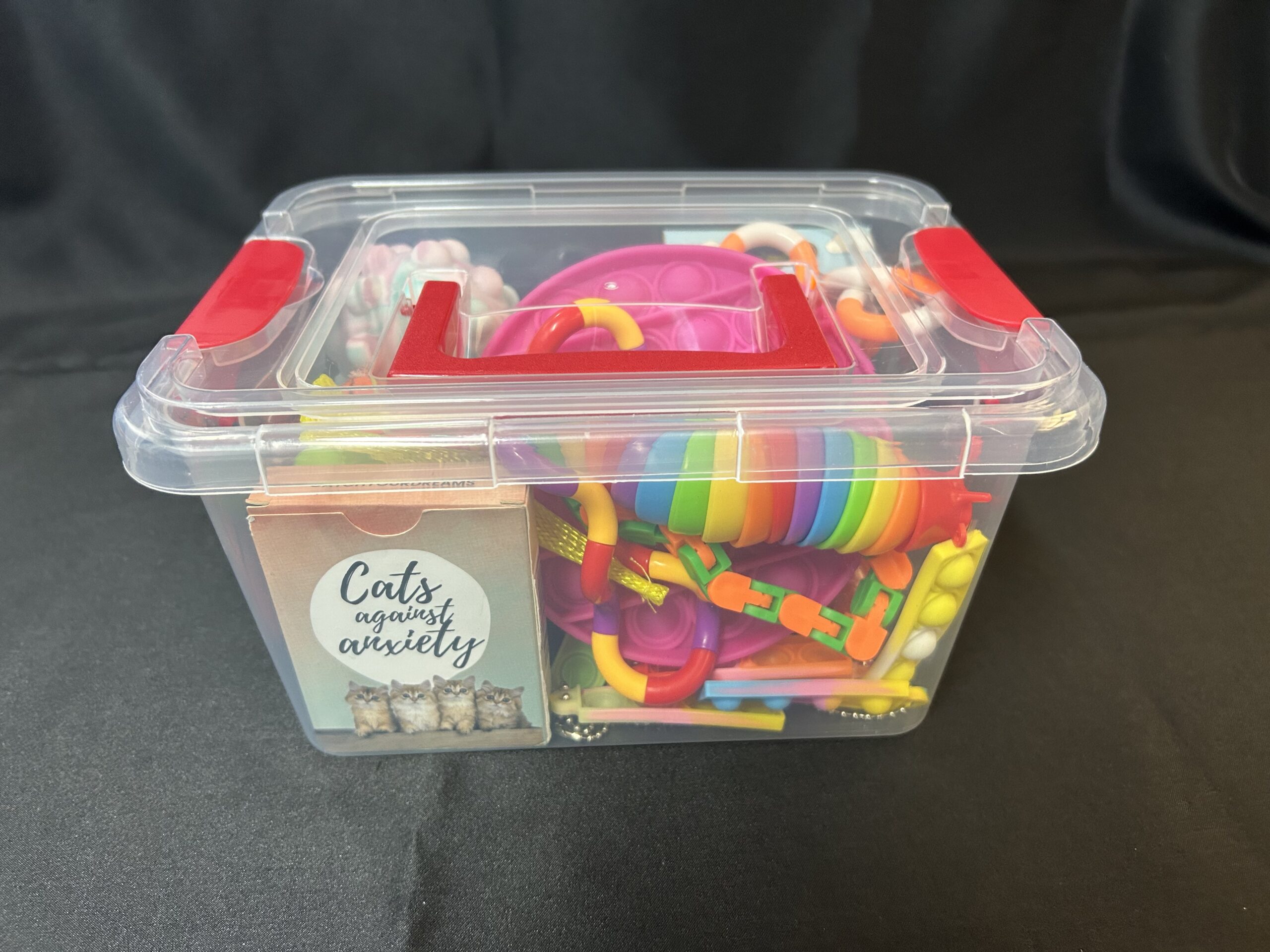 Random sensory kit. $60. Includes large pop-it, Cats Against Anxiety card deck, rainbow articulated slug, fidget chains, tangles fidgets, spinning balls, sensory stickers, small pop-it keychains, and more.
